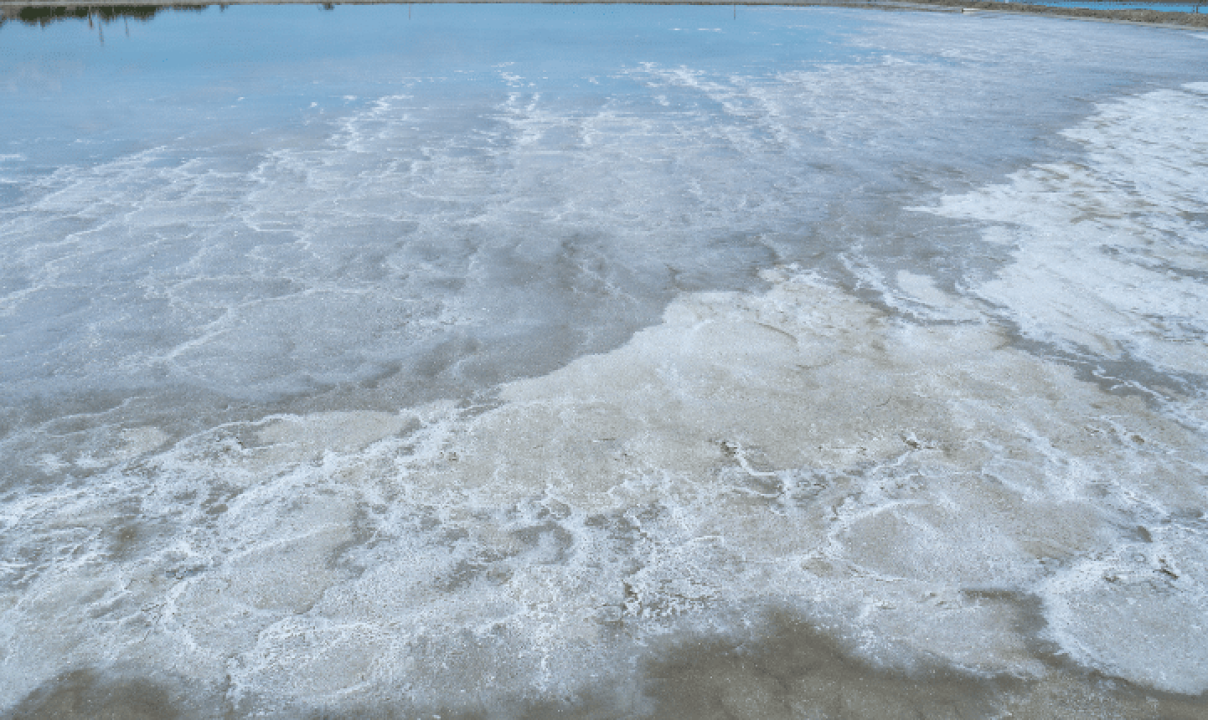 Untitled design (30)