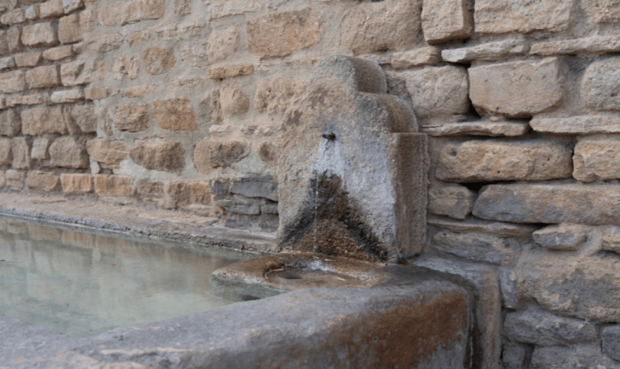 Untitled design (36)