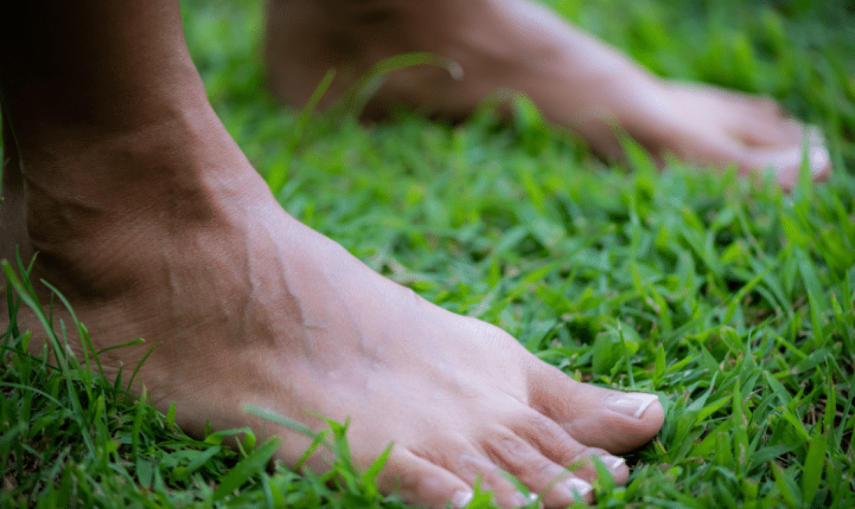 پا برهنه در طبیعت تجربه آرامش با درمان‌های خاکی