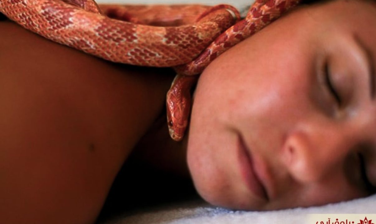 فراتر از ترس: آیا ماساژ با مار یک درمان لوکس است یا شوک‌درمانی؟